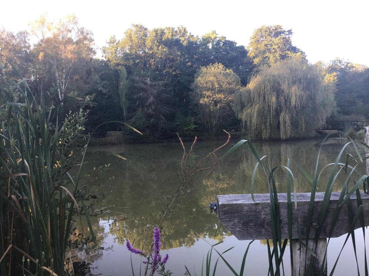 Ferme Boisquillon Bed & Breakfast Marcilly-en-Gault